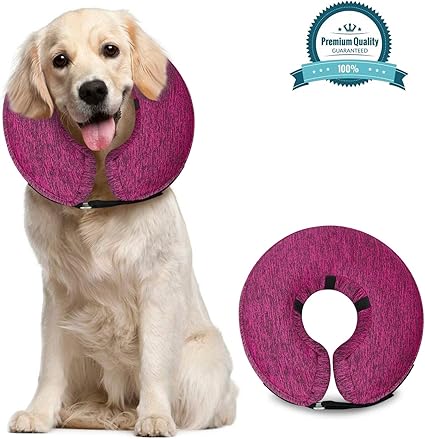 protective dog collars after surgery