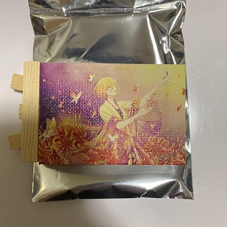 Amazon 本田今日子 キャンバスボード アイドル 芸能人グッズ 通販