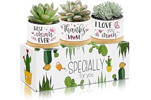 TARKLANDA 3Pcs Gifts for Mom Best Mom Ever Succulent Pots Mini Ceramic Plant Pots with Bamboo Tray Pot Planters Unique Birthday Gift for Mother-in-Law Wife Plants Not Included