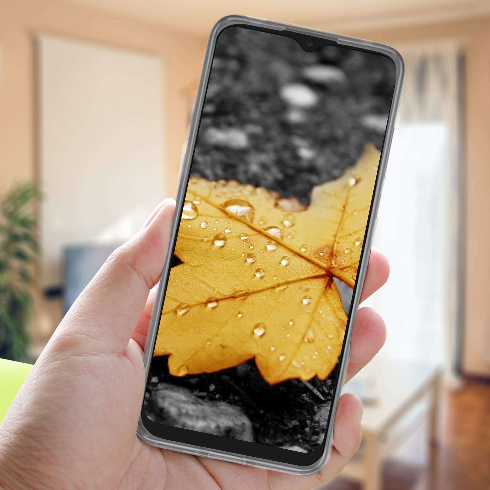 View 7