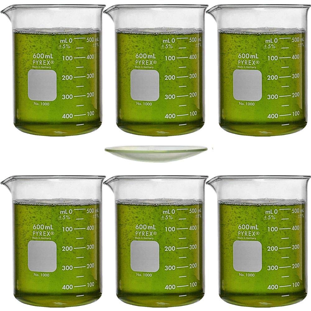 Corning Pyrex 1000-600 Glass 600mL Graduated Low Form Griffin Beaker, 50mL Graduation Interval, with Double Scale: Industrial & Scientific
