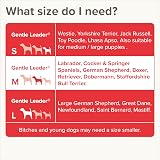 Beaphar Gentle Leader Head Collar for Medium Dogs - Anti-Pull Training view 7