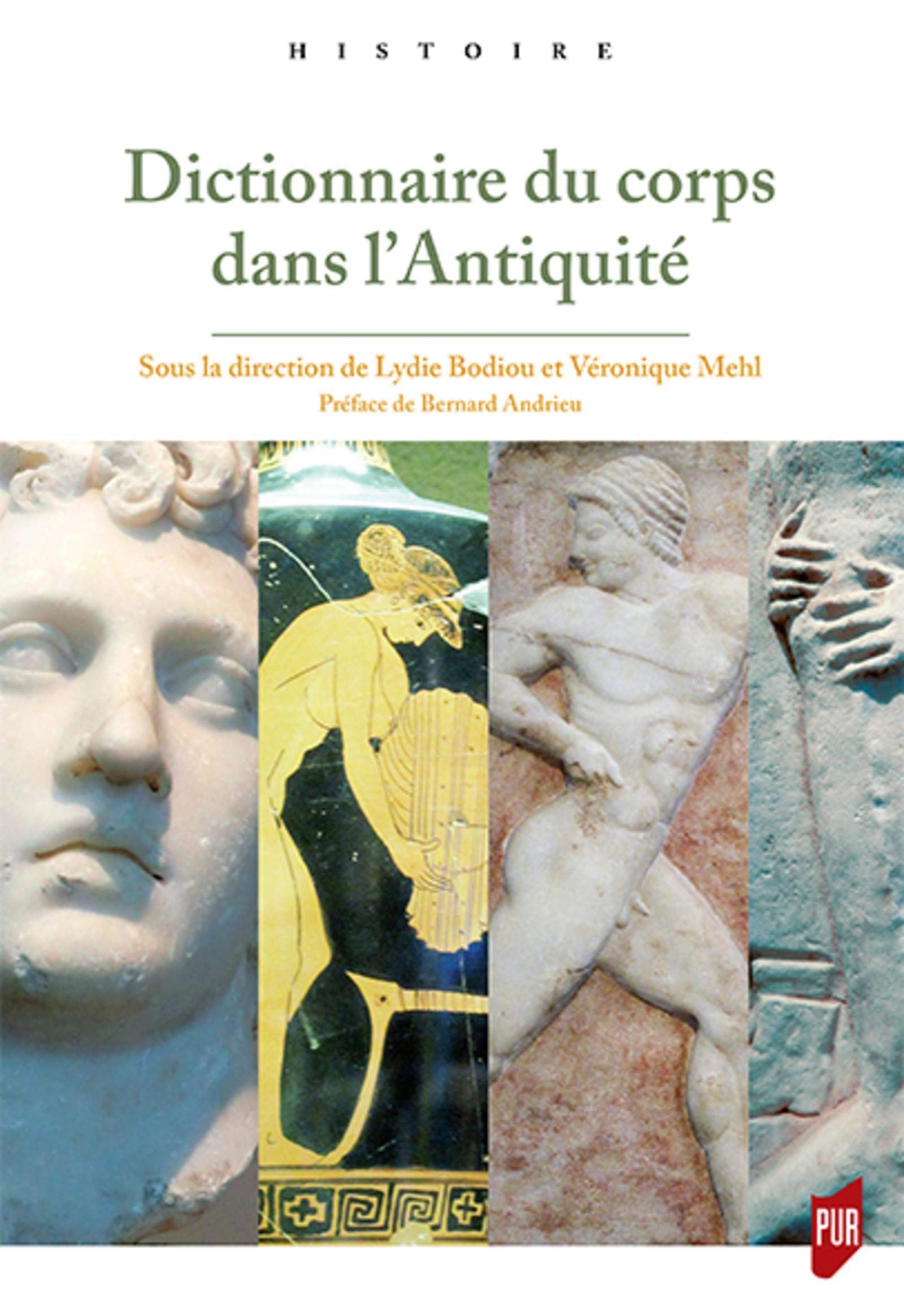 Dictionnaire Du Corps Dans L Antiquite Histoire French Edition Bodiou Lydie Mehl Veronique Amazon Com Books