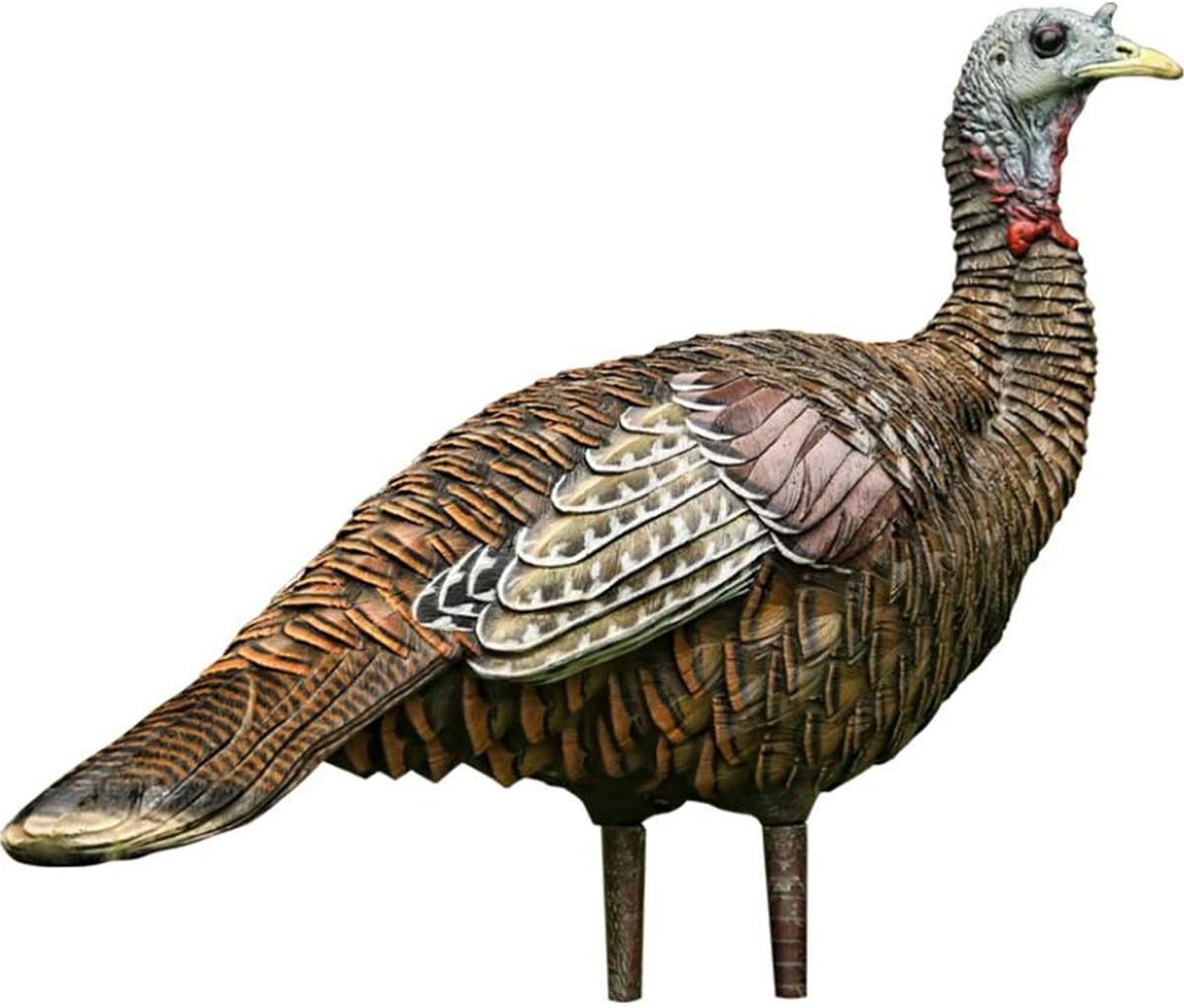 Amazon Com Avian X Lookout Hen Turkey Decoy Lifelike