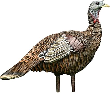 Amazon Com Avian X Lookout Hen Turkey Decoy Lifelike