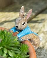 Pot Buddies Beatrix Potter Peter Rabbit Climbing Plant Pot Hanger view 1