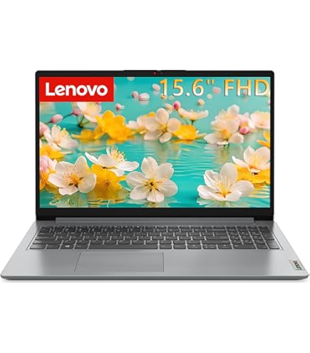 Amazon.com: Lenovo IdeaPad 15.6 inch Laptop Computer with
