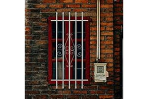 HOUSAGIES Grisham Spear Point Heavy-Duty Window Bars (White, 24"X54") Window Safety Guards for Childen, Outdoor Prevent Burglary Window Security Bars