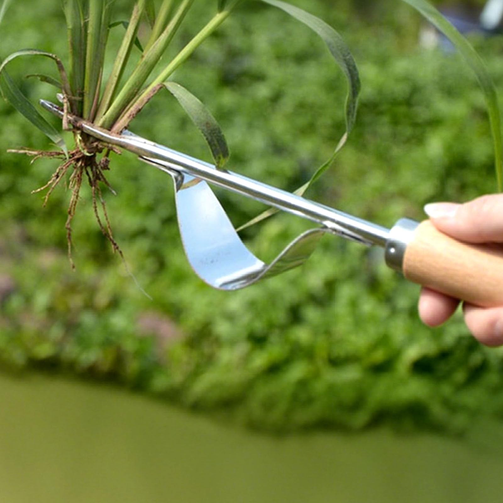 Generisch Unkrautentferner Länge 30cm, 2026 Neu Wurzeljäter mit Holzgriff, Unkrautstecher Edelstahl, 2-in-1 Unkrautrechen und Gartenhacke, Garden Hand Weeder zum Graben, Jäten, Lösen (1PC) 7