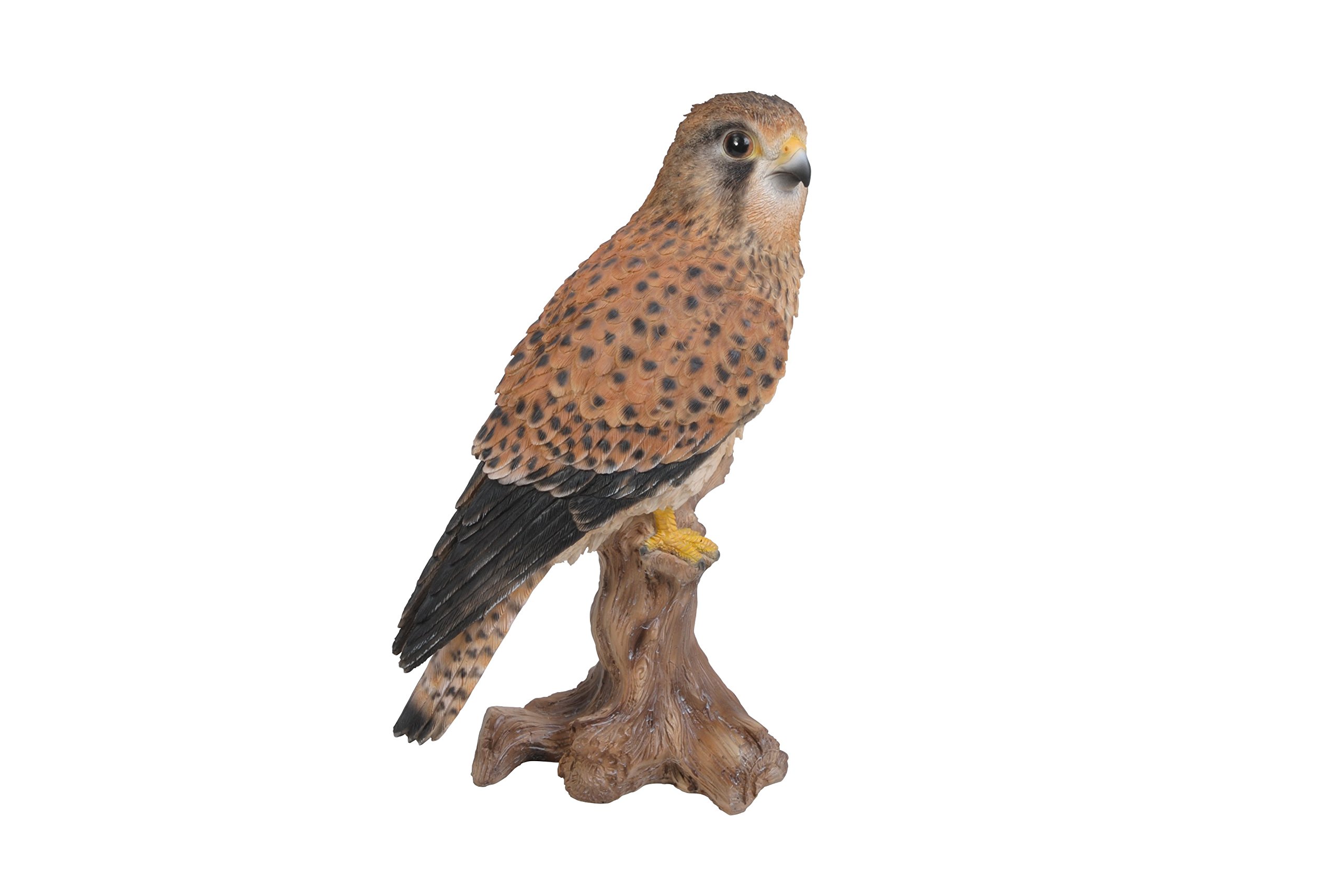 Vivid Arts XRL-KEST-D Kestrel Standing on Tree Trunk Ornament
