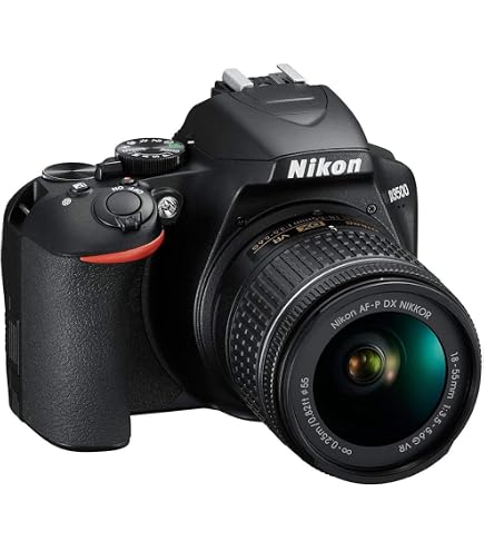 Amazon.com : Nikon VBA550K001 D3500 + AF-P DX 18–55 VR Kit - Black