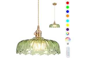 LOIOGOHOT Battery Operated Pendant Light,Vintage Light Fixtures RGB Light Bulb 2500mAh 9.4in Green Modern Chandelier with Remote Control Wireless Adjustable Rechargeable Chandelier for Kitchen Island 1Light