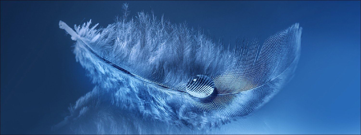 Pro-Art GLA1080 °C Wall Picture Glass Artwork 'Feather' 80 x 30 cm, Multicolor, 80L x 30B cm