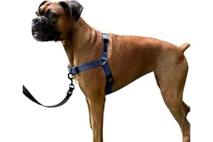 ShawnCo Dream Walk No-Pull Dog Harness- Adjustable, Comfortable, Easy to Use Pet Halter to Help Stop Pulling for Small, Medium and Large Dogs (Pacific Blue, M)