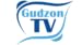 Gudzon TV STB