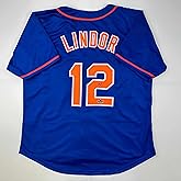 Facsimile Autographed Francisco Lindor New York Blue Reprint Laser Auto Baseball Jersey Size Men's XL
