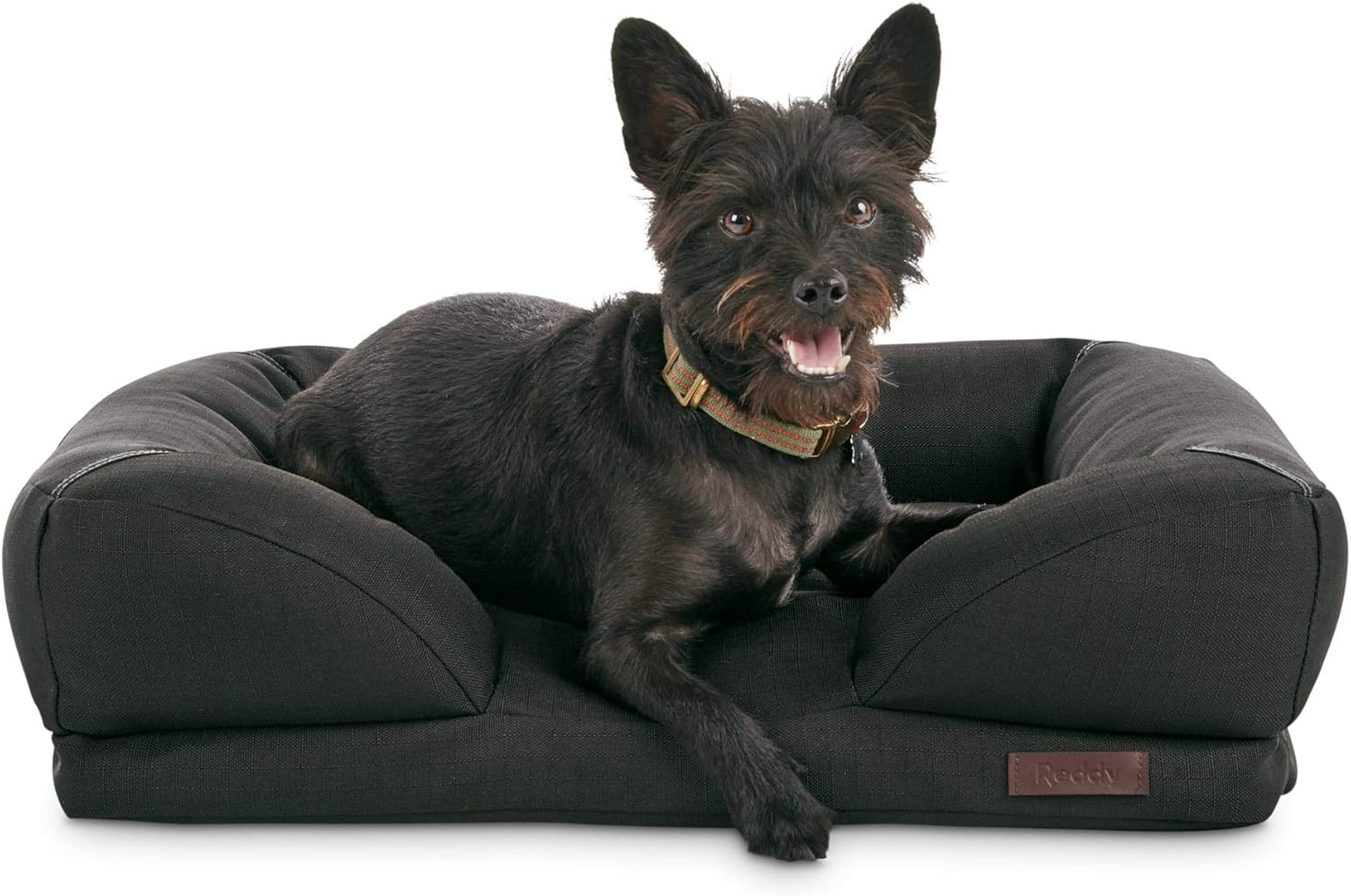 small black dog bed