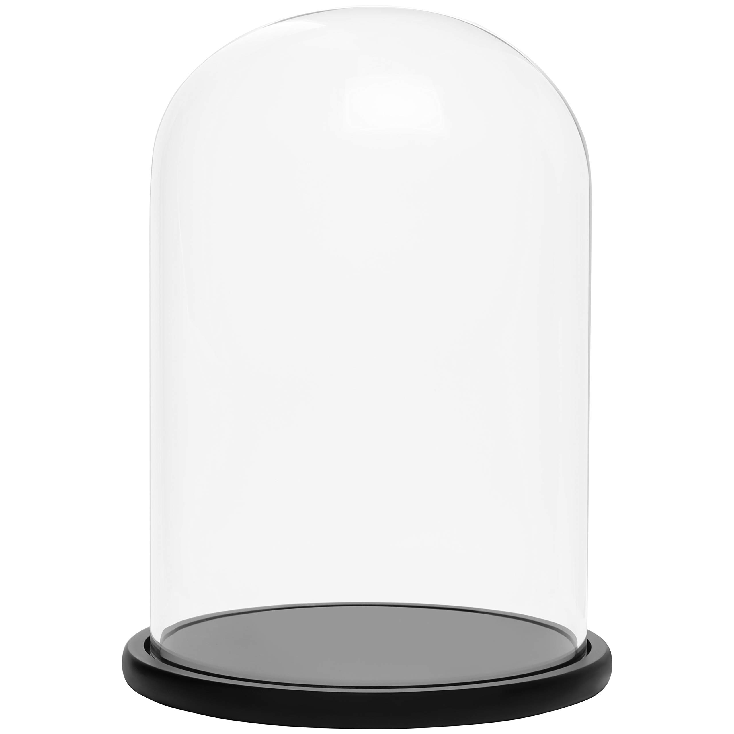 BELLE VOUS Glass Dome Cloche Bell Jar with Black Wooden Base - 30cm/11.81 Inches - Clear Decorative Tabletop Display Case with Tray for Fairy Lights, Centrepieces and Antiques