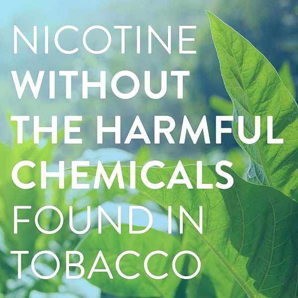 AMAZON BASIC CARE NICOTINE POLACRILEX MINI LOZENGE, 2 MG (NICOTINE), STOP SMOKING AID, MINT FLAVOR, 216 COUNT (PACKAGING MAY VARY)
