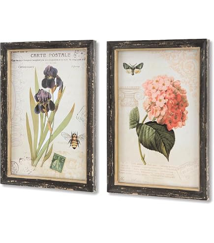 Amazon.com: Uttermost 56053 Midnight Botanicals Wall Art (Set of 2