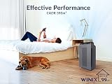 Winix 5300-2 Air Purifier CADR 390m³/h 99m² HEPA Carbon Sleep Auto view 2