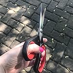 Review Image by Bananas Really