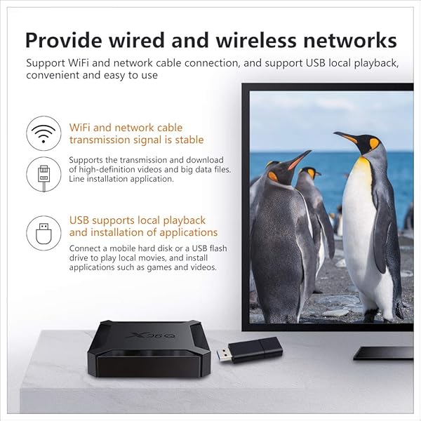 Android 10 0 TV Box X96 Mini 2020 Versin Mejorada X96Q 2GB RAM 16GB ROM Smart TV Box Allwinner H313 Soporte Quad Core 4K 3D Set Top Box X96 Mini WiFi Home Media Player