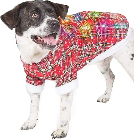 dog christmas sweater with lights