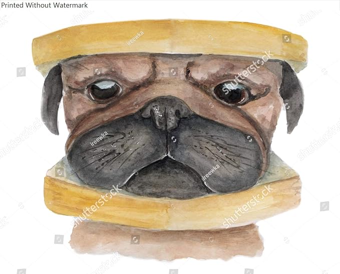 pug bread