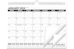 OUMUAMUA Wall Calendar 2024-2025: Monthly Calendar from January 2024 to June 2025, 14.5 x 11 Inches Calendar with Twin-Wire Binding, Thick Paper and Ruled Blocks for School Home Office