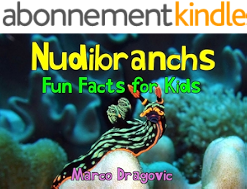 Download Nudibranchs: Fun Facts for Kids, Picture Books for Kids, Beautiful Photos and Interesting Facts About Nudibranchs & Sea Slugs! (English Edition) PDF