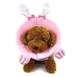 Alfie Pet - Logan Soft Recovery Collar