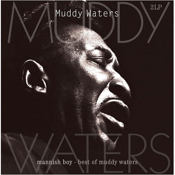 The Best of Muddy Waters [VINYL] | Amazon.com.br