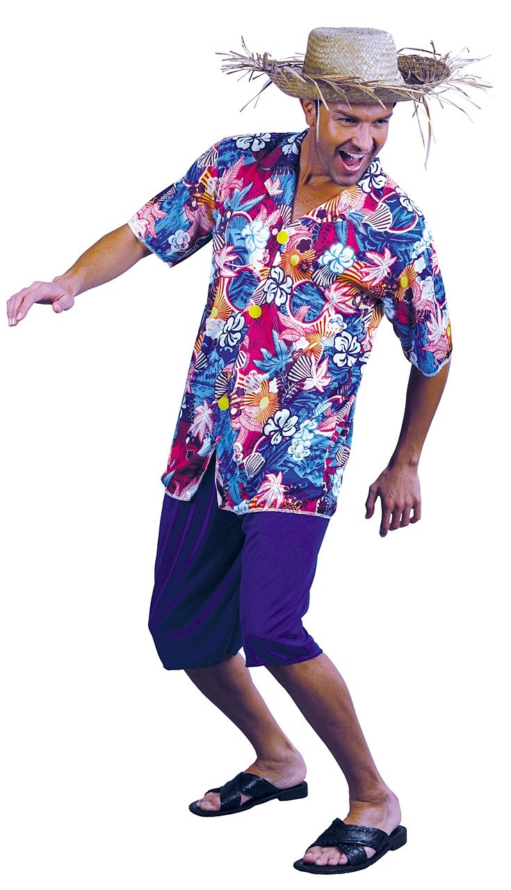 Value Costume: Tourist Hawaiian Shirt Man (Adult)