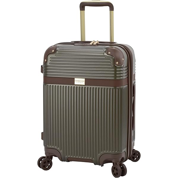 Amazon.com | Aimee Kestenberg Women's Florence 20" Softside, Teal |  Carry-Ons