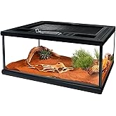 Reptile Glass Terrarium Tank 12"*8"*6",Small Cage Full View with Top Screen Ventilation Habitat Enclosure for Tarantula,Frog,