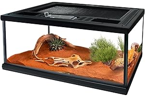 WAAZOOREP Reptile Glass Terrarium Tank 12"*8"*6",Small Cage Full View with Top Screen Ventilation Habitat Enclosure for Tarantula,Frog,Gecko,Insects,Spiders,Snakes,Hermit Crab,Turtle,Ball Python