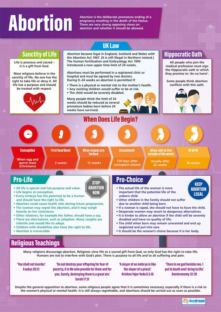 Daydream Education Abortion | Religious Education Posters | Laminated Gloss Paper measuring 850mm x 594mm (A1) | Religious Studies Charts for the Classroom | Education Charts