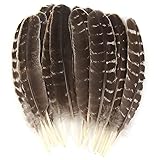 CCINEE 15pcs Natural Turkey Feather, 10-11 Inches