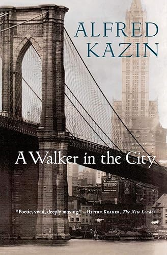 Download A Walker in the City PDF
