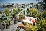 elho Greenville Round 40 Large Plant Pot with Integrated Water Reservoir view 6