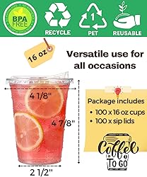 100 Pack 16 oz Clear Plastic Cups with