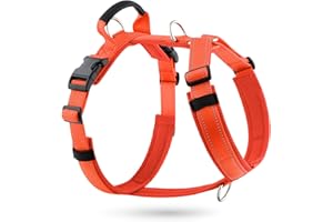 APakBak No Pull Dog Harness with Handle, Soft Mesh Padded Adjustable for Small Medium Large Dogs | Reflective Easy Walk Harne