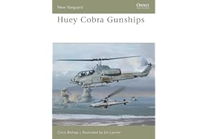 Huey Cobra Gunships (New Vanguard, 125)