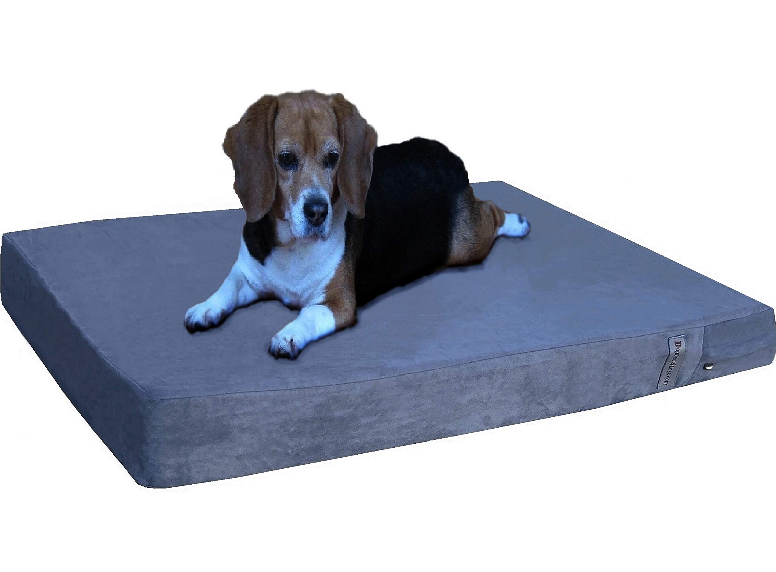 Amazon Replacement Memory Foam For Dog Bed PETFUSION Ultimate