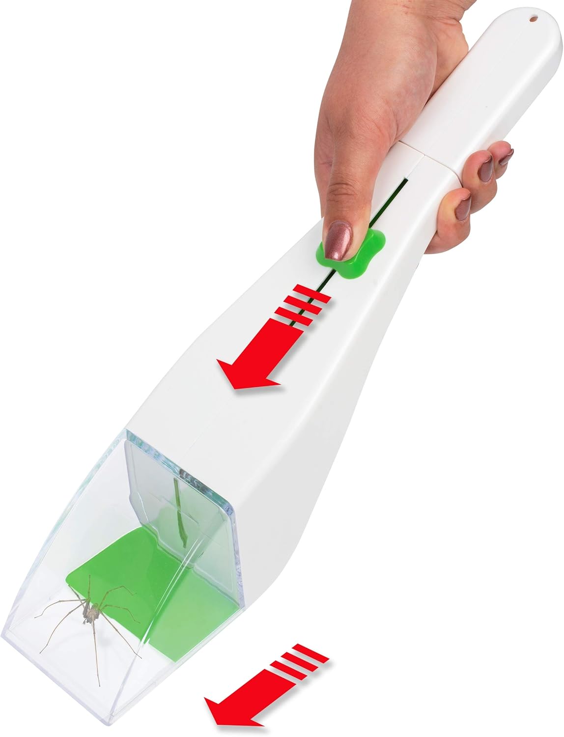 Gardigo Insektenfänger XXL mit Lupe I Spinnenfänger I Insekten lebend fangen