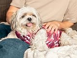 Suitical Recovery Suit Dog XX-Small Pink Camouflage view 3