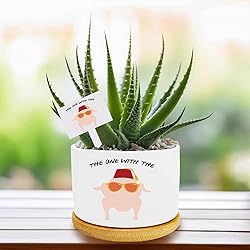 Funny TV Show Planter Pots,TV Show Merchandis Gifts