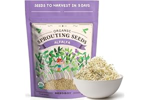 Seedboy Organic Alfalfa Seeds for Sprouting - Non-GMO, USA Grown Alfalfa Microgreens Sprouting Seeds Mix - Makes 8 Quarts of Sprouts, 24 Servings (8 oz) (Alfalfa)