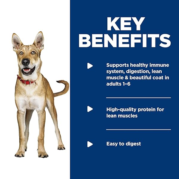 HILL’S SCIENCE DIET ADULT 1-6, ADULT 1-6 PREMIUM NUTRITION, WET DOG FOOD, VARIETY PACK: CHICKEN & BARLEY; BEEF & BARLEY LOAF, 13 OZ CAN VARIETY PACK, CASE OF 12
